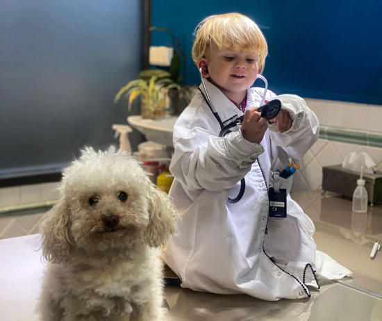 Perro junto con un niño pequqeño vestido de veterinario en la clínica veterinaria El Jardín.