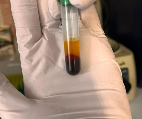 Veterinaria analizando muestra de sangre en el laboratorio de la clínica veterinaria El Jardín.
